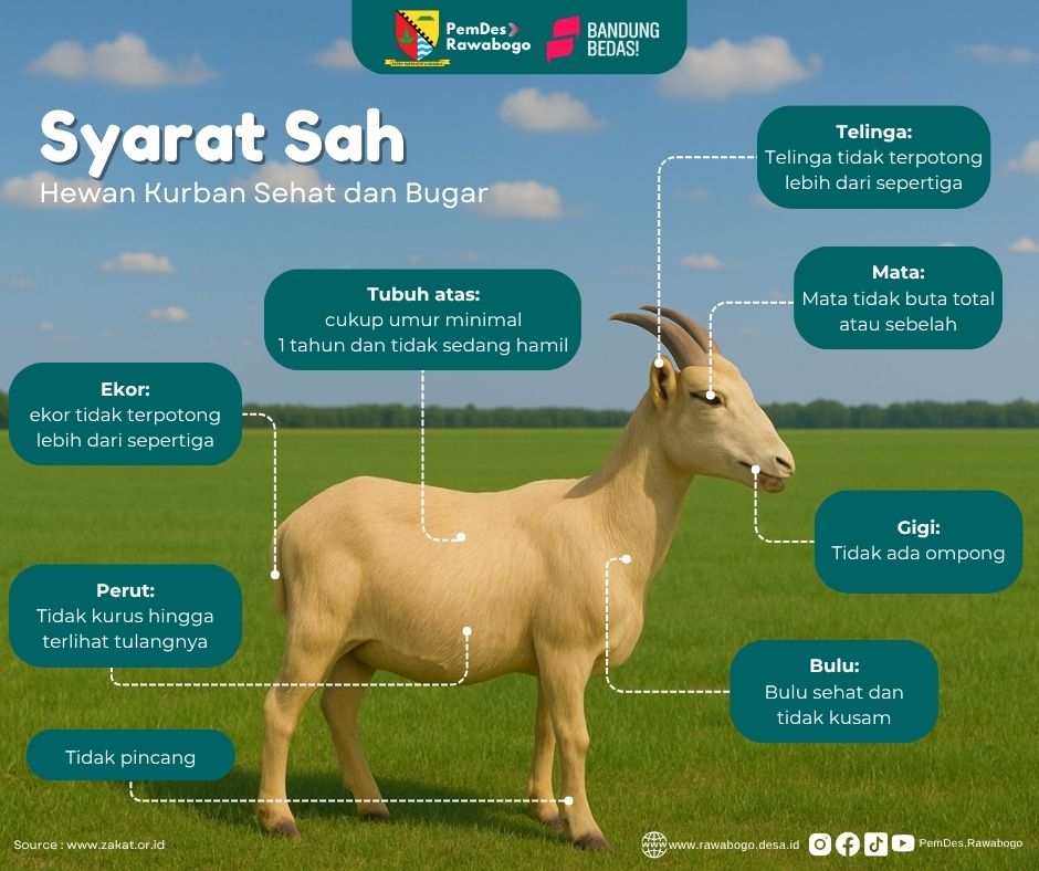 Syarat Sah Hewan Kurban